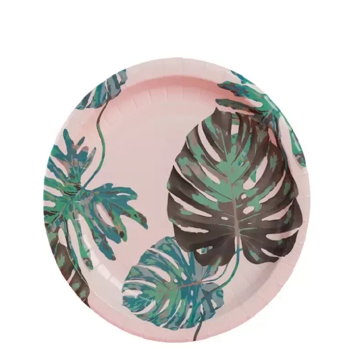 paper plate from MMCIS China